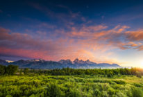 montana